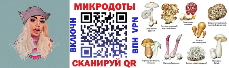 Галлюциногенные грибы Cubensis  Белоозёрский 